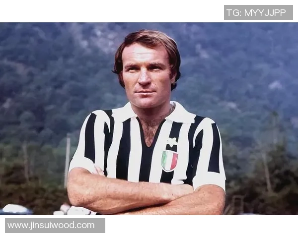 足球历史最佳球员排名解析 传奇球星的地位与影响力评估 足球历史最佳球员排名解析 传奇球星的地位与影响力评估